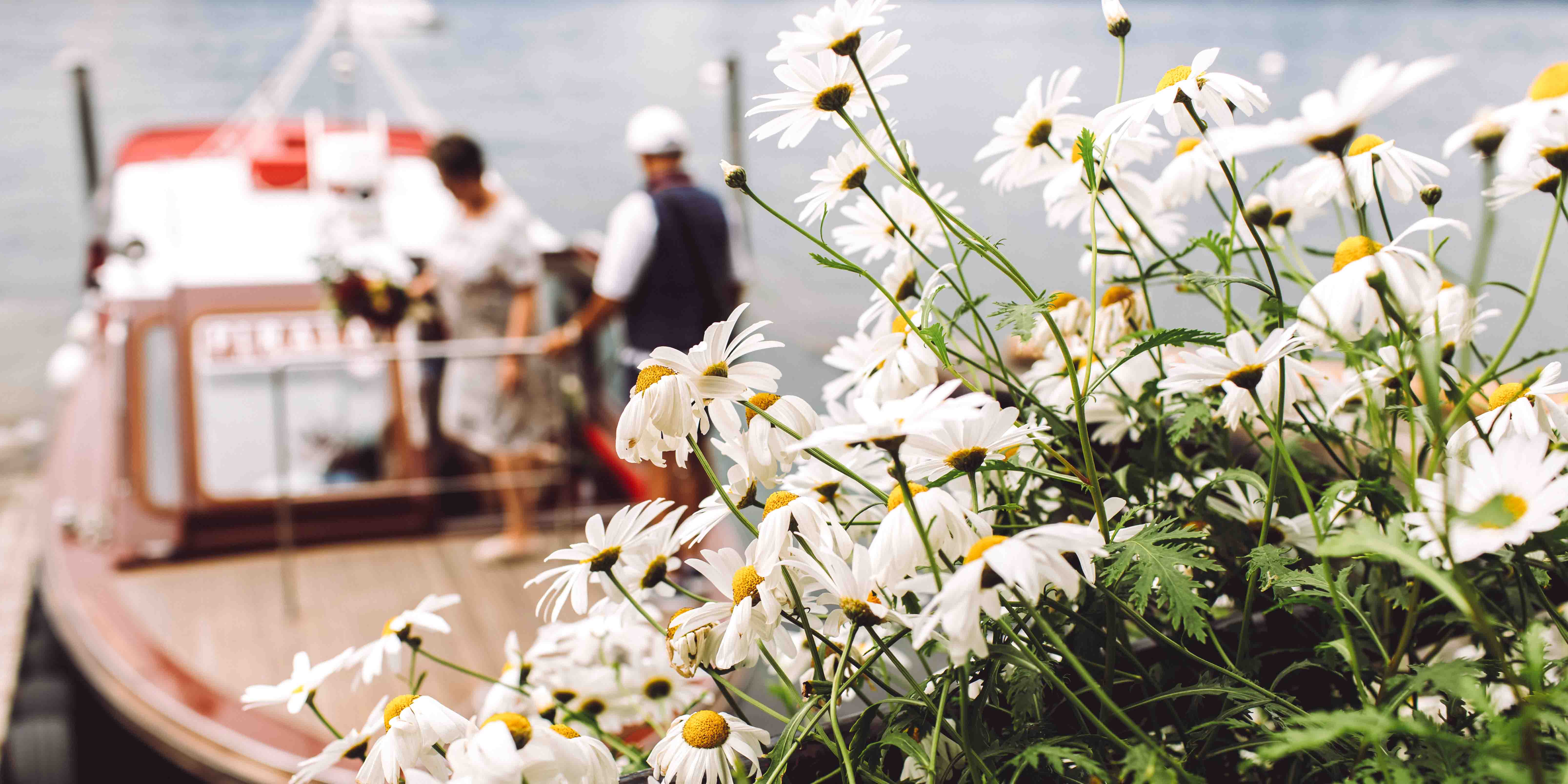 Sommarblommor och båt i bakgrunden