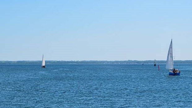 Segelbåtar som åker på vattnet